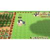 Story of Seasons Friends of Mineral Town Jeu PS4