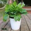 Home Garden Flower Pot Indoor/Outdoor Nursery Tray Outdoor Living Plant Resin