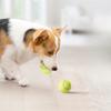 Dog Chew Training Ball Toy Pet Interactive Toy