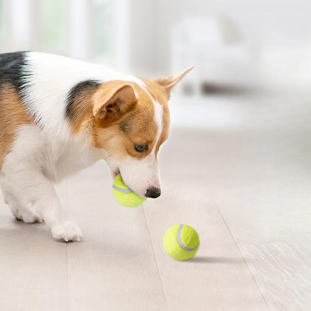 Dog Chew Training Ball Toy Pet Interactive Toy