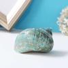 10CM Green Big Conch Home Furnishing Marine Sea Decor Fish Dry Aquarium Decor Natural Shell Craft