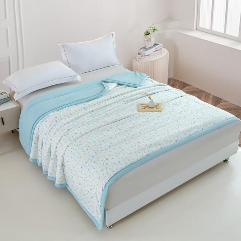 Zi Yun Lightweight Polyester Summer Quilt