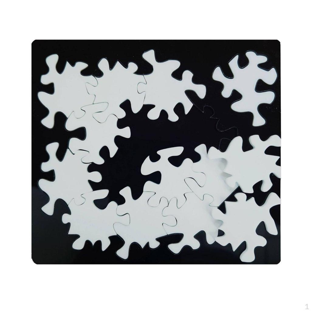 Pond 12 Puzzle, Challenging Acrylic Block Desktop Game for Adults Misfit 13