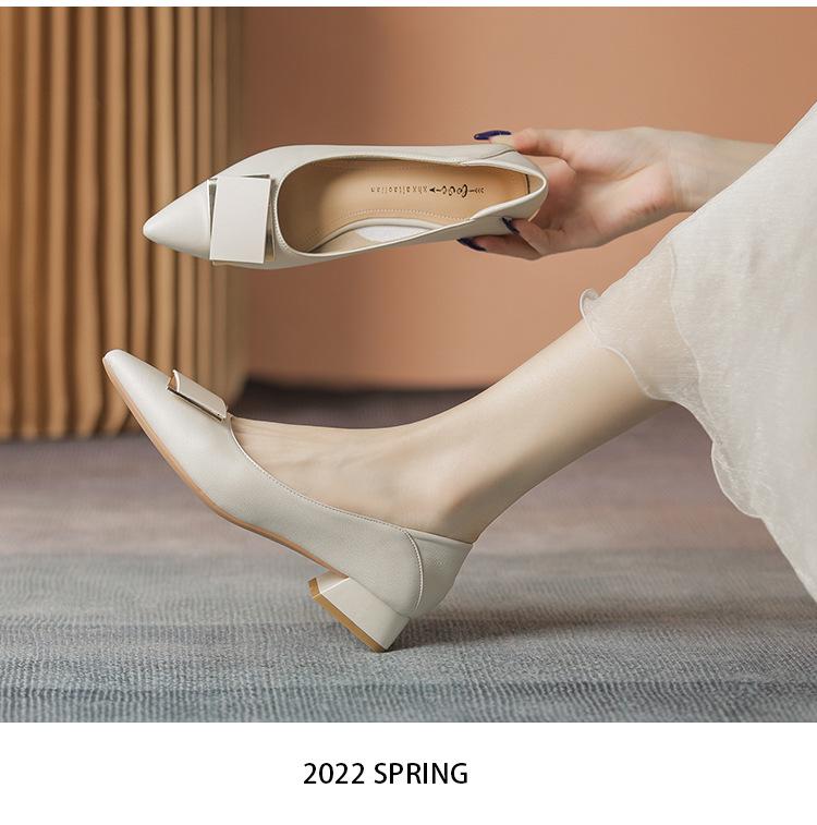 Women's Soft Leather Pointed Toe Mid-Heel Buckle Shoes for Spring/Autumn