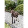 Protège-pattes Pour Chien - TRIXIE - Walker Active Long - Antidérapantes - Confortables - Protection Hiver