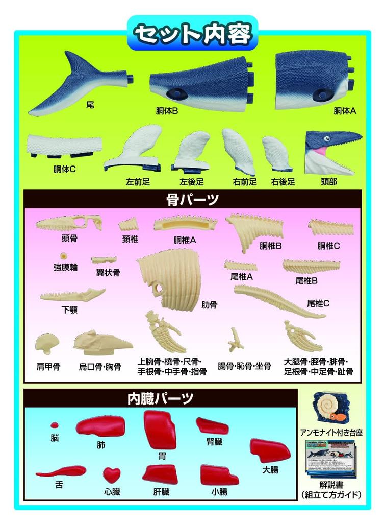 MegaHouse Disassembly Puzzle Science Mosasaurus Reconstruction Puzzle
