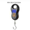 Portable 50Kg 10g Hanging Scale  Digital Scale BackLight Electronic  Fishing Weights Pocket Scale Luggage Scales Black