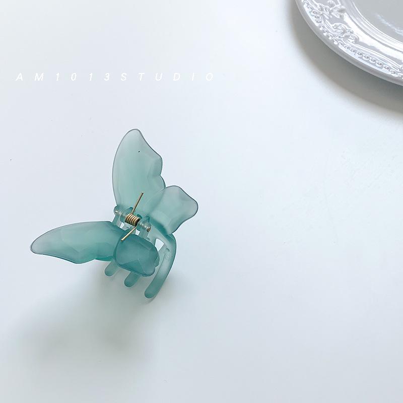 Fairy Transparent Butterfly Hair Clip: Frosted Shark Claw for Half-Tied Summer Styles