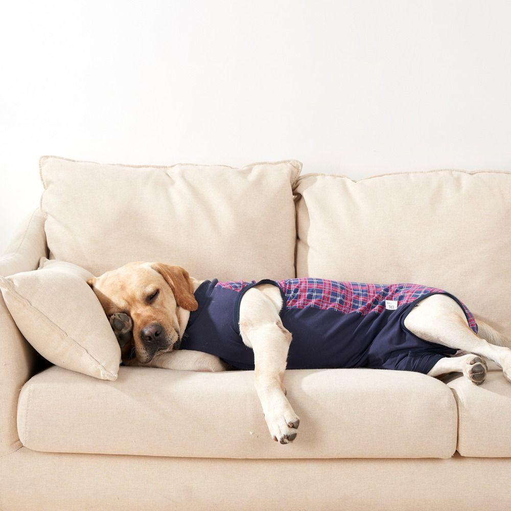 Elastic Dog Recovery Bodysuit Soft Dog Protective Clothes Dog Weaning Bodysuit  for Pets