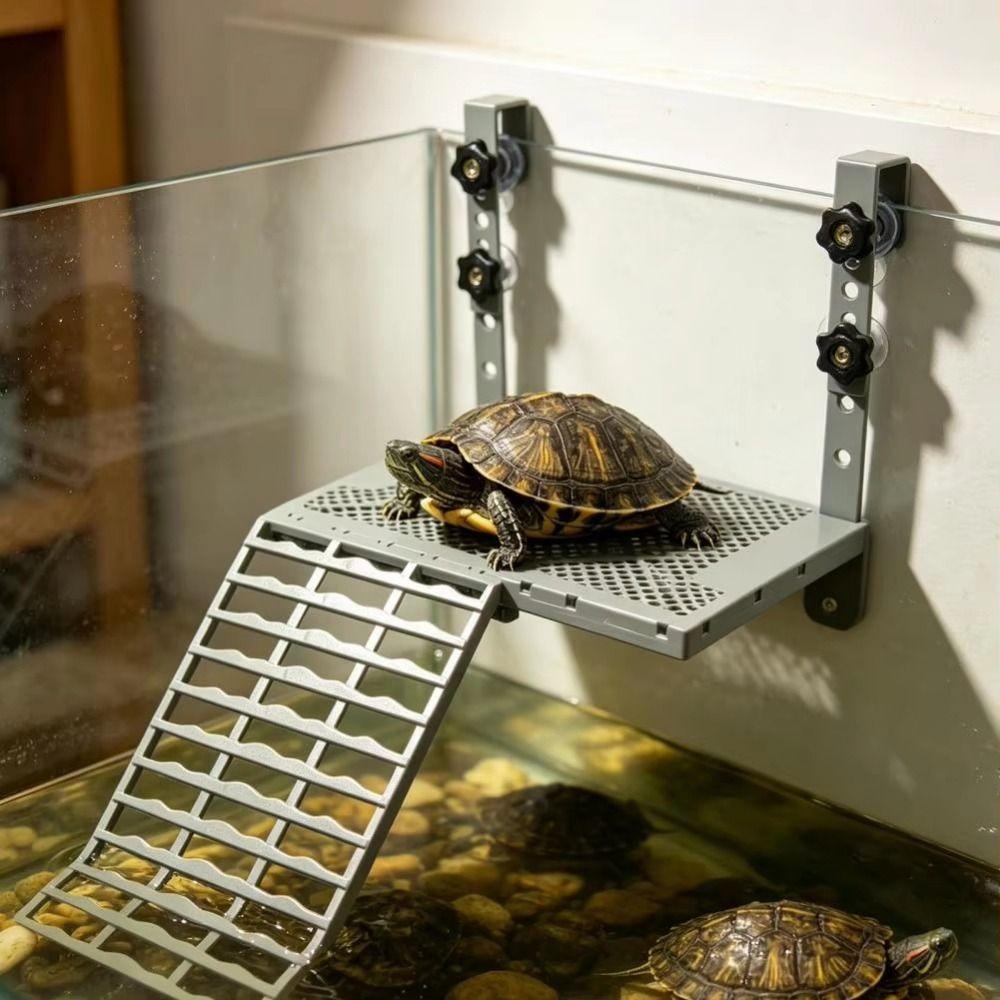 Suction Cups Hanging Turtle Platform Non-Slip Ramp Floating Turtle Dock  Reptile Enclosure