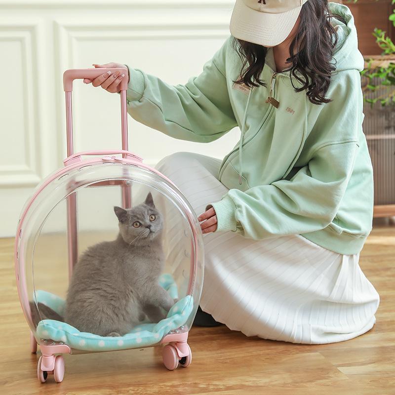 Portable Transparent Pet Carrier: Multi-Purpose Large Capacity Travel Bag for Cats
