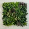 Zielona ściana - panel roślinny - wine garden c - uv 50 x 50