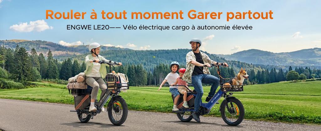 ENGWE Elektrofahrrad für Erwachsene, 250W 100Nm Mittelmotor, unterstützt App-Standortverfolgung, 48V 19,2AH/38,4AH, Reichweite bis zu 180/350 km, LE20 Gepäckbox.