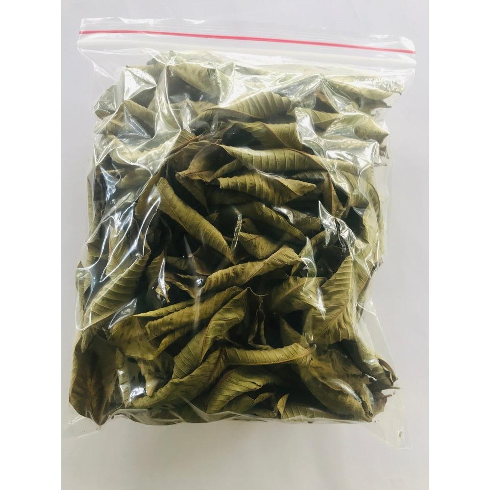Φύλλα Γκουάβας 500g Τσάι Βοτάνων, Φυσικό Ρόφημα Αποτοξίνωσης για Υποστήριξη Ενέργειας και Ευεξίας