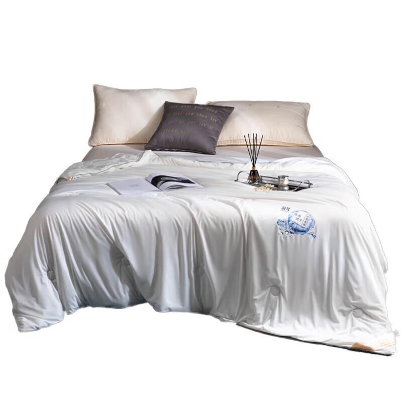 

Pinfan Negative Ion Ice-Point Quilt