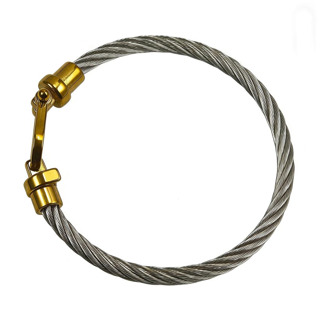 2026 Fashion Trend European and American Horseshoe Magnet Buckle Steel Wire Bracelet Jewelry