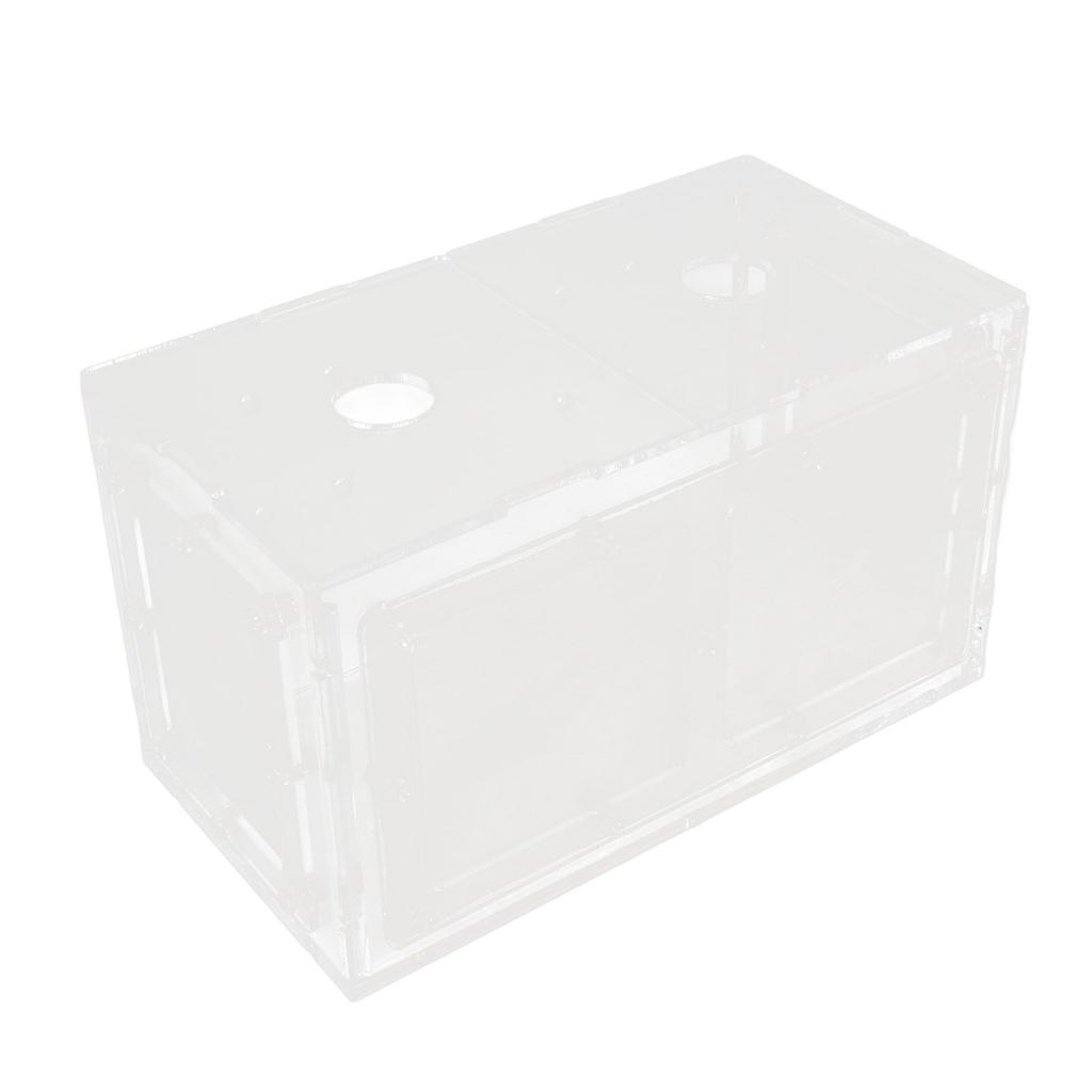 Fischzucht Isolierbox Transparente Netzseite Fischtank Inkubator für Aquarium Kleine Fische