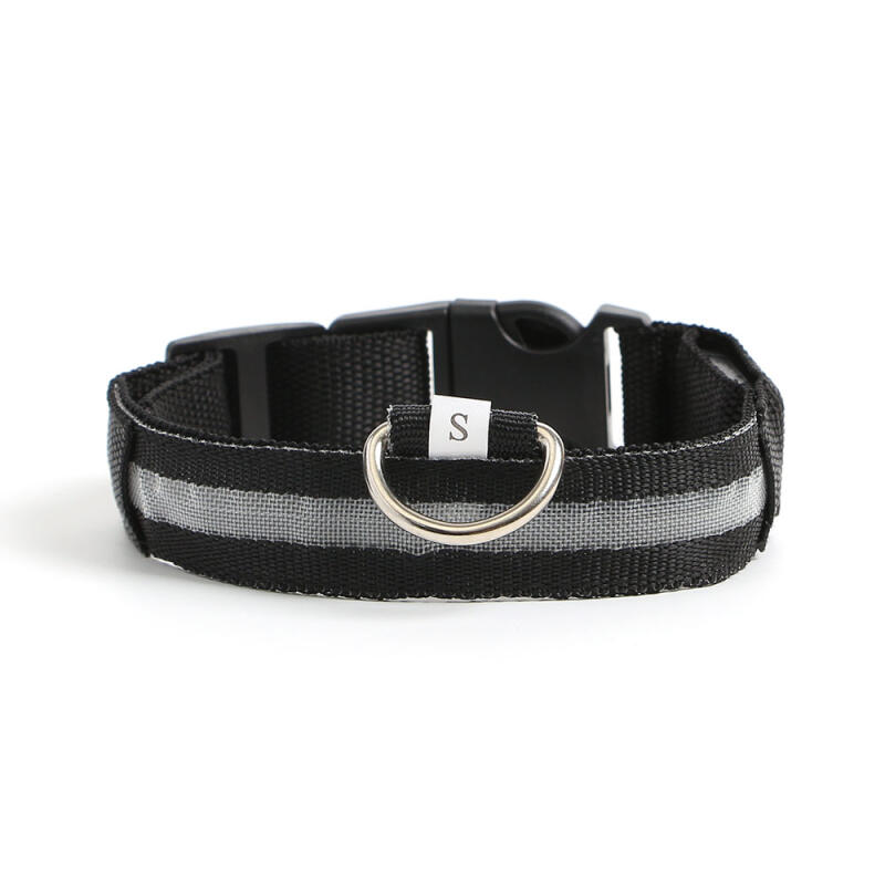 LED Dog Leash (S/Rainbow)