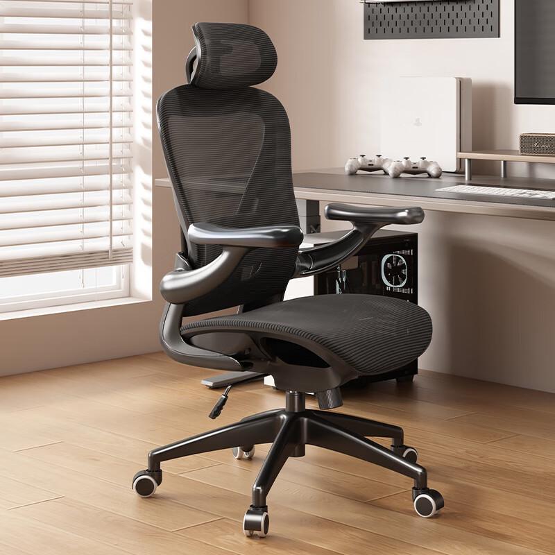 Youshu Ergonomic Office Chair
