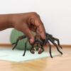 Figurine Aragog, Harry Potter, pour enfants dès 6 ans, Schleich 13987 Harry Potter, Univers WIZARDING WORLD
