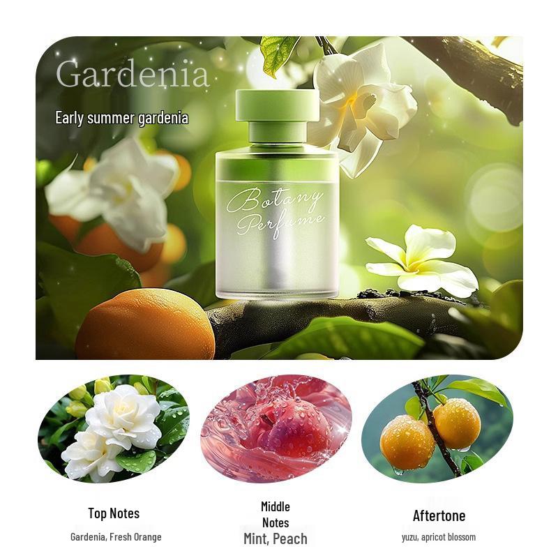 Premium Long-Lasting Indoor Essential Oil for Bathroom & Toilet with Free Shipping On First Order