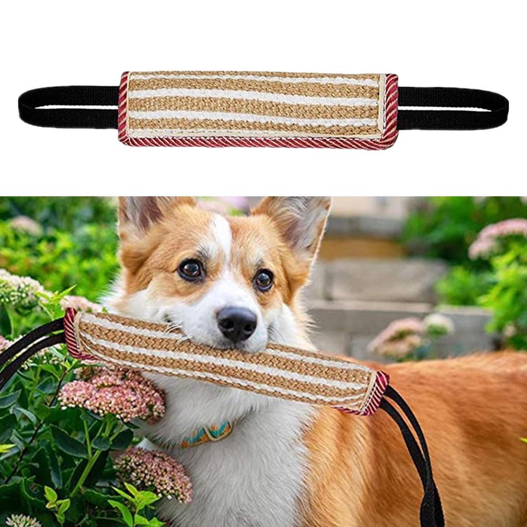 Training Set - Sleeve, Dog Equipment for Training, Biting, Interactive