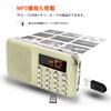 LEFON Rechargeable Multi-Function AM/FM Pocket Radio with USB and microSD Card Support, MP3 Player, LED Light, and Portable Radio (Gold)