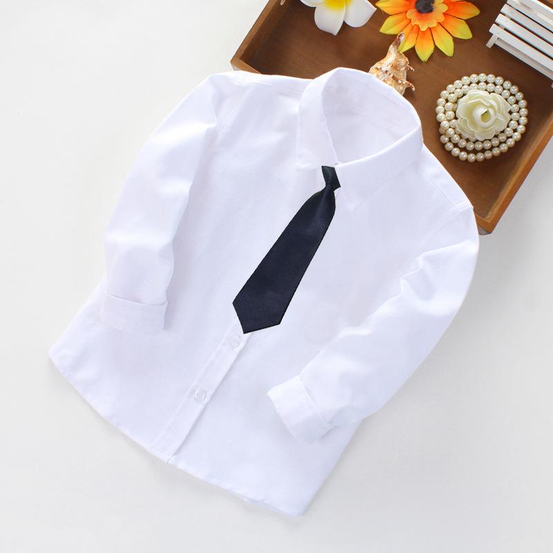 Boys' White Cotton Long Sleeve Shirt - Solid Color for Ages 2-14, Ideal for Primary School and Performances.