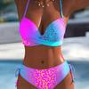 2026 New Cross-border Swimsuit Hard Bag Steel Tray Split Swimsuit
