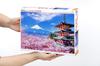 I Beverly 1000 Piece Jigsaw Puzzle Fuji og Sengen Shrine with Dancing Cherry Blossoms x [Made Japan] (49 72 cm) 1000-079