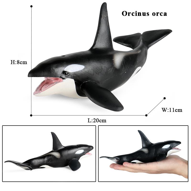 Oenux Ocean Animal Savage Megalodon Beluga Big Shark Orca Sperm Blue Whale Action Figures Sea Life Model Educational Kids Toy