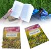 Year A Beautiful In The Bible The 52 Week Bible Study For Women Book Durable