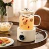 Yamamoto Mini Intelligent Health Kettle: Glass Tea Maker & Anti-Dry Boiling Pot for Home or Office
