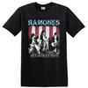 Ramones Punk Rock Band Music Graphic Live Vintage T Shirt Distressed Flag