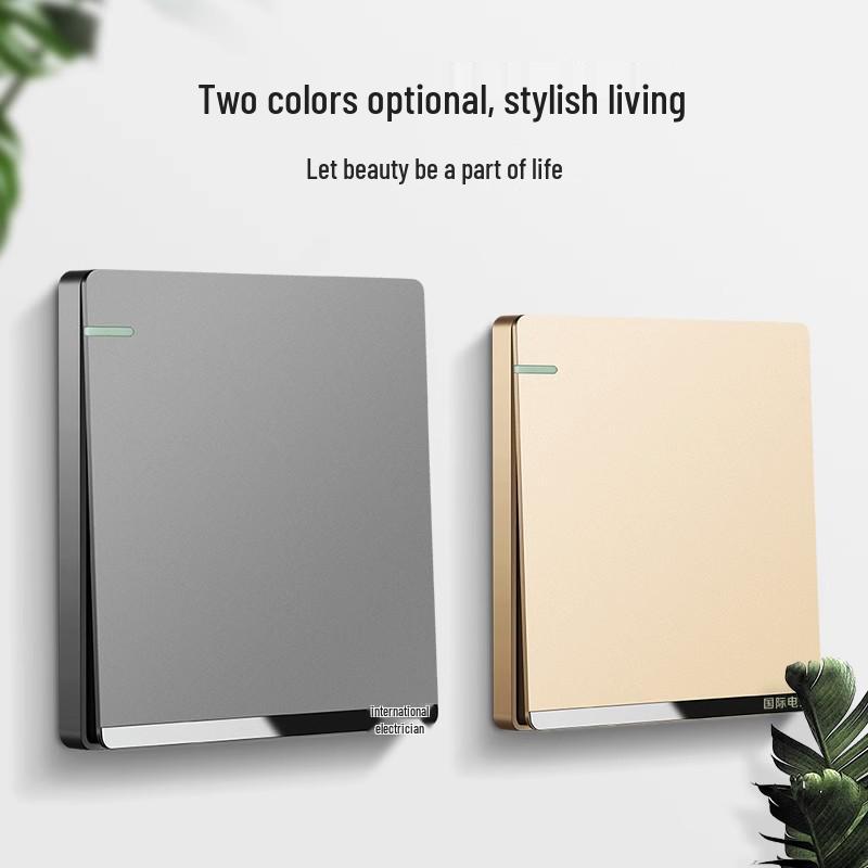 Dual-Gang 86 Type Wall Socket Panel with Double-Control Switch