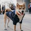 S-5XL Hooded Multi Colors Dog Rain Coat Pet Waterproof Jacket Medium Large Dog Clothing Out Door Clothes
