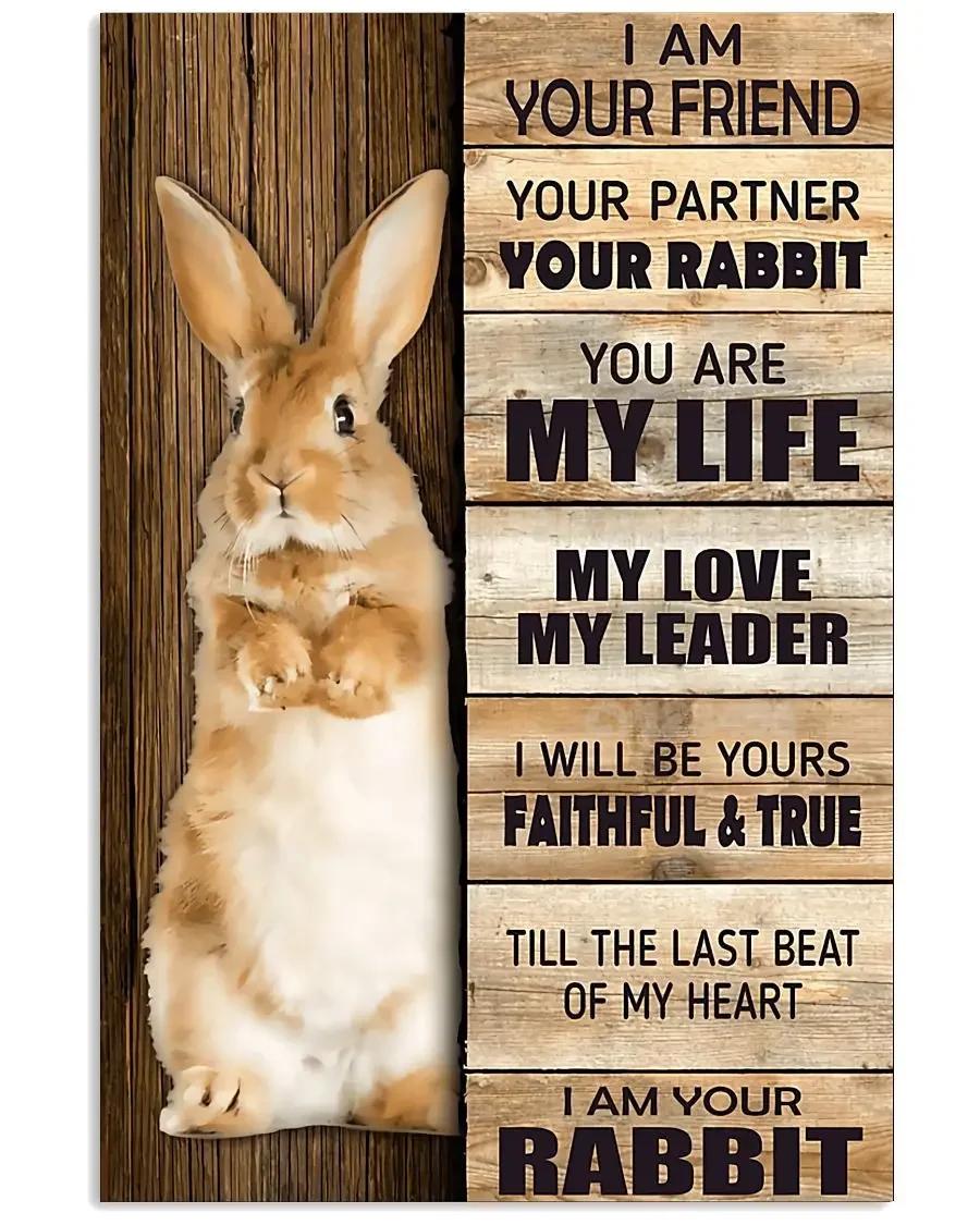 Funny Metal Bunny Tin Sign Beware of The Rabbit | Bunny Lover | Rabbit Sign Vintage Effect Plaque for Farmhouse Home 8x12inch 20x30cm（7.8x11.8inch）