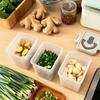 Transparent Onion Ginger Garlic Storage Box Kitchen Refrigerator Drain Fruit Preservation Box Plastic Food Storage Container