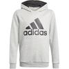 Kids Sweatshirts Hooded Moderate GN4019