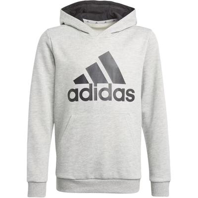 Kids Sweatshirts Hooded Moderate GN4019
