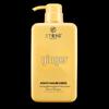 Three Magic Craftsmen Ginger Anti-Hair Loss Shampoo