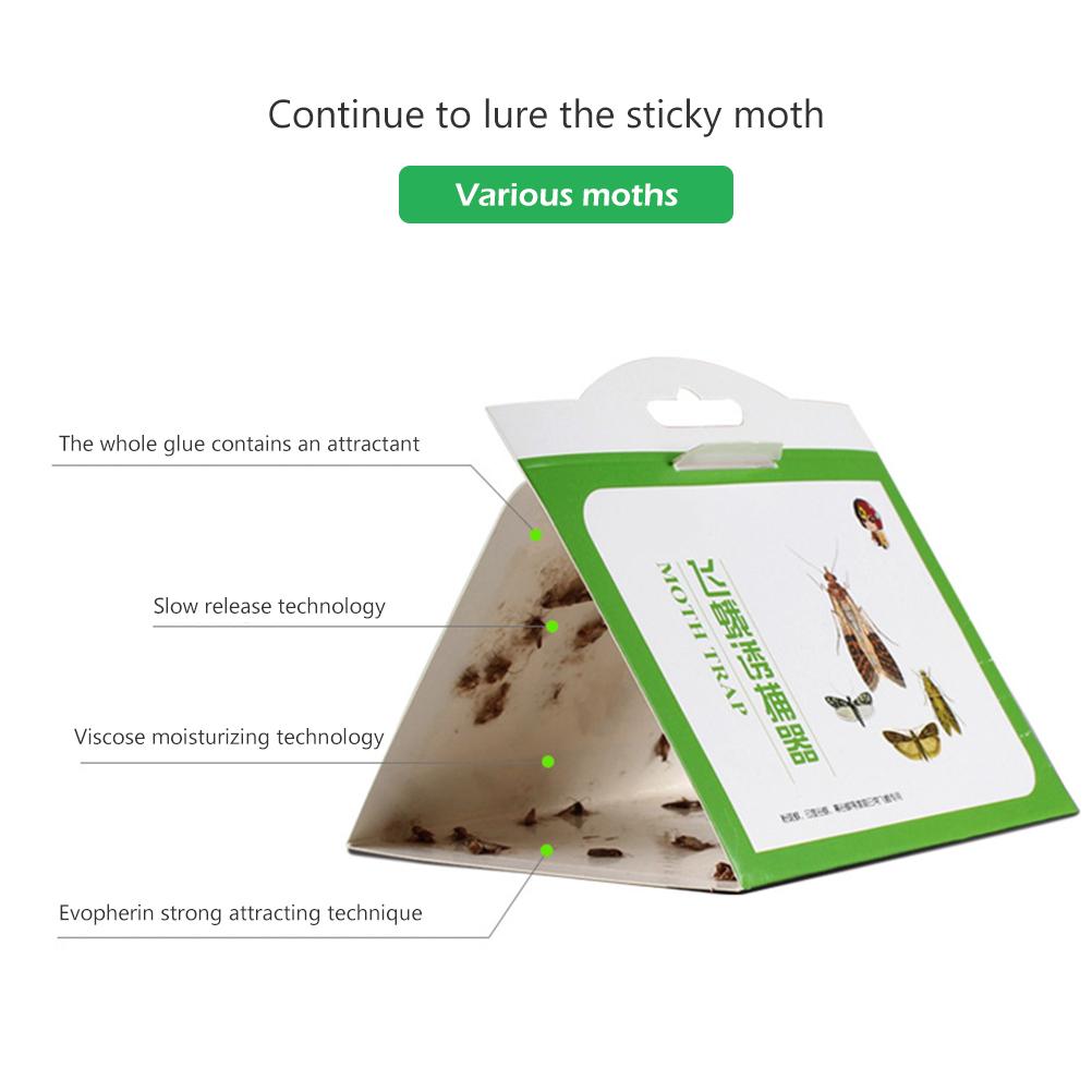 Premium Pantry Clothes Kitchen Food Moth Pheromone Attractant Moth Killer Pheromone Moth Trap