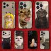 Telefon kapları – Smartphone Bumper Kılıflar