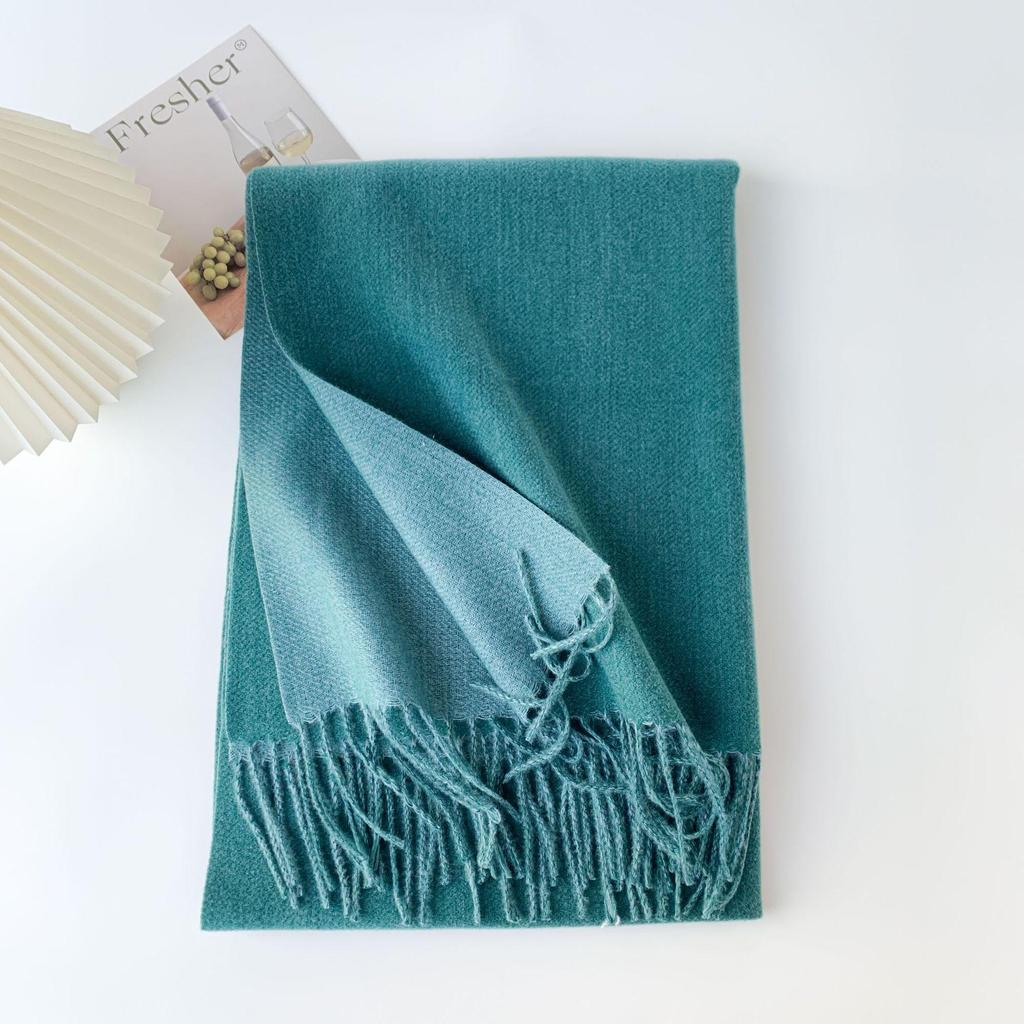 Double-Sided Solid Color Imitation Cashmere Scarf with Tassels – Cozy Korean Autumn/Winter Fashion for Students