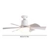 Ceiling Fan Light with Remote Timing Light Bulb Fan 3 Gear Wind Speed Wireless Fan Dimmable for Living Room Bedroom