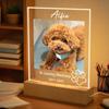 Personalized Pet Photo Acrylic Ornament Wooden Base Custom Pet Silhouette Decor Sign Home Desk Entrance Cute Pet Keepsake Gift