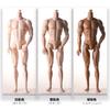 Joint Movable Male Model 31cm Height Action Figure Body Play House 1/6 Male Body  DIY Toy