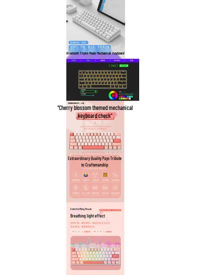 61-Key Mini Mechanical Keyboard with Three-Mode Wireless Bluetooth, Red Tea Switch for Laptop Gaming & Office