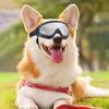 Hundebrille mit verstellbaren Riemen UV-Schutz Winddicht Antibeschlag Staubdicht Hunde-Sonnenbrille für den Außenbereich Reiten Fahren Welpenbrille für kleine bis mittlere Hunde