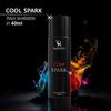 Ramsons - COOL SPARK Eau De Parfum | 100 ML | Perfume For Men | TN - Anis, Lavender, Artemisia | MN - Rose, Jasmine | BN - Musk, Amber
